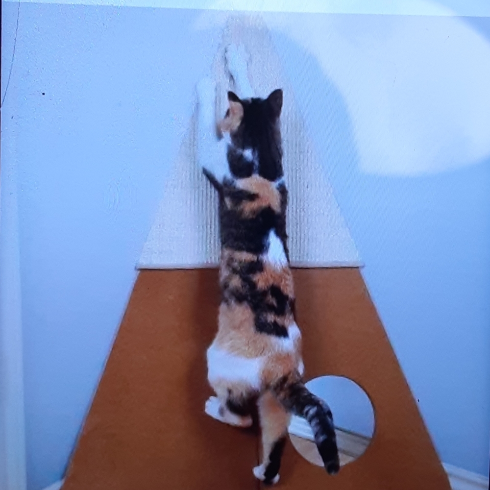 Pioneer Pet Bootsie's Corner Scratcher (New) - Picture 8 of 8